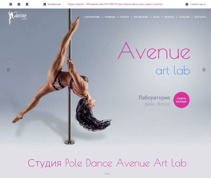 Avenue Art Lab Pole Dance Classes Moscow Russia.jpg