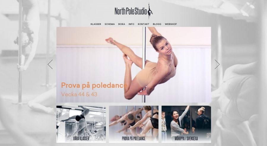 North Pole Studio Pole Dance Classes Stockholm Sweden.jpg