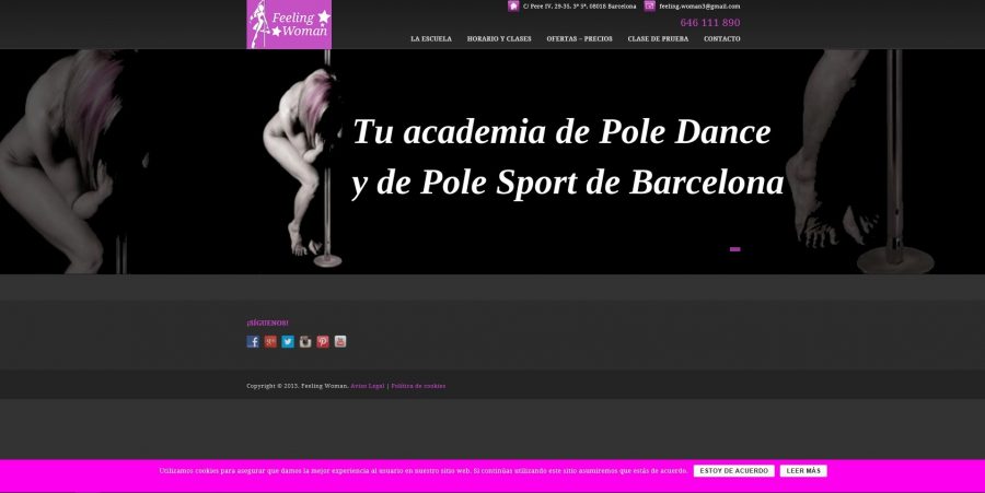 Feeling Woman Pole Dance Classes Barcelona Spain.jpg
