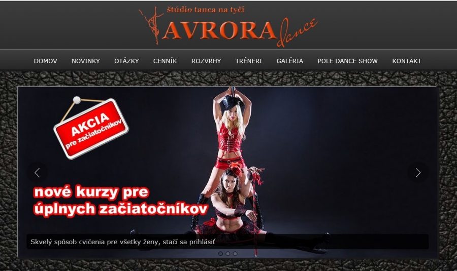 Avrora Dance Pole Dance Classes Bratislava Slovakia.jpg